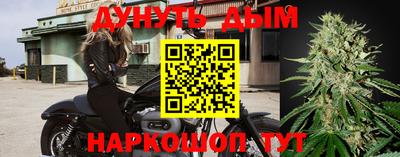 прущие грибы Дубна