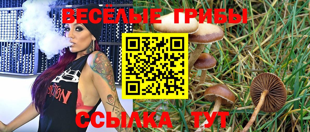 Галлюциногенные грибы ЛСД Нефтеюганск